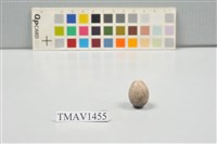 藏品(麻雀卵)的圖片